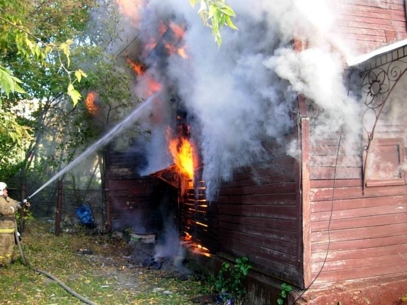 Пожар в хозяйственной постройке в городском округе Богородский